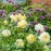 Vanessa Bell