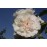 Sombreuil (Colonial White)
