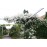 Rambling Rector
