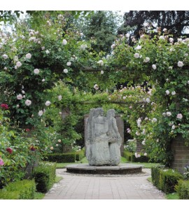 The Generous Gardener