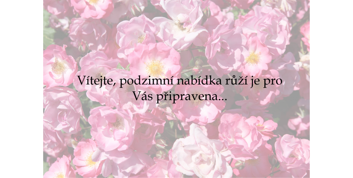 PODZIM