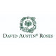 David Austin David Austin