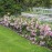 Harlow Carr