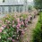 Harlow Carr