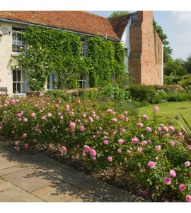 Hyde Hall