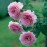 James Galway
